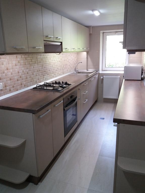 Vila Viitorul Buşteni Exteriér fotografie